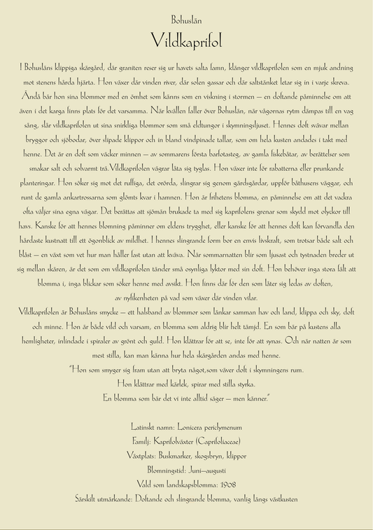 Bohuslän-Vildkaprifol