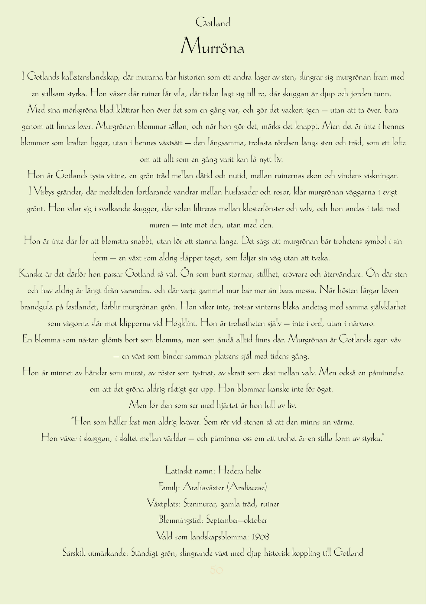 Gotland-Murgröna