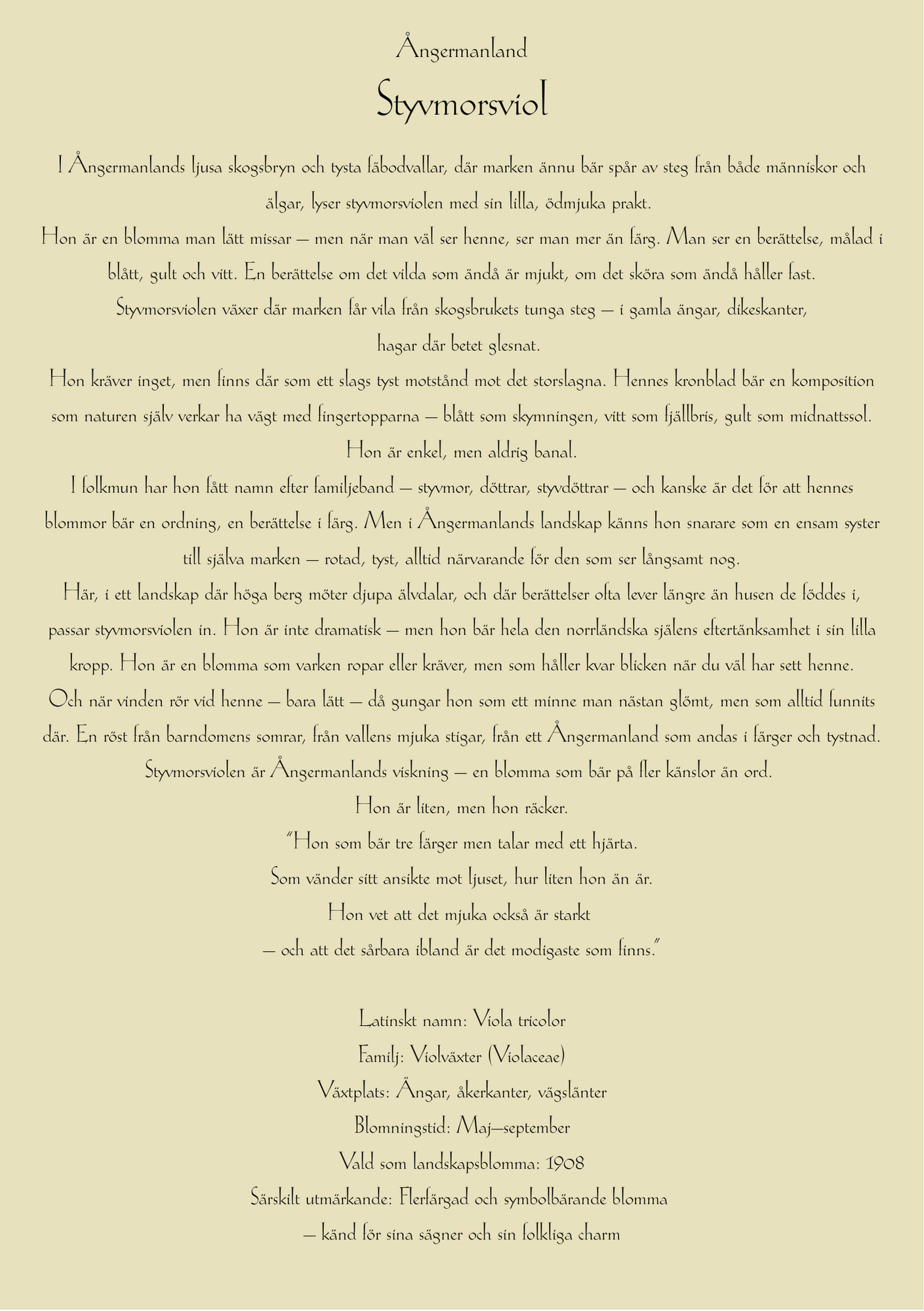 Ångermanland-Styvmorsviol