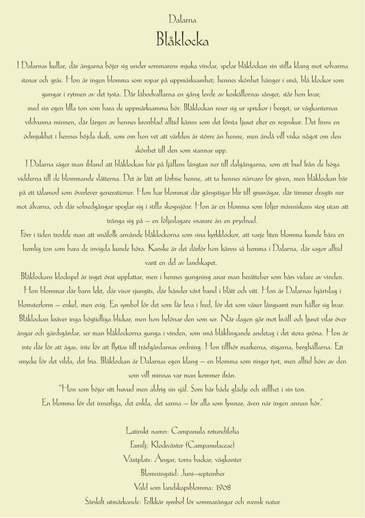 Dalarna-Blåklocka