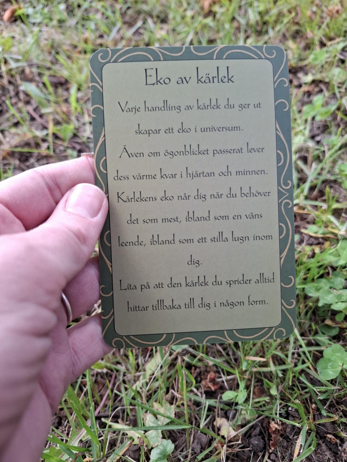 VÄXTERNAS VISKNINGAR - en affirmationskortsamling